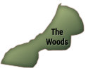 The Woods